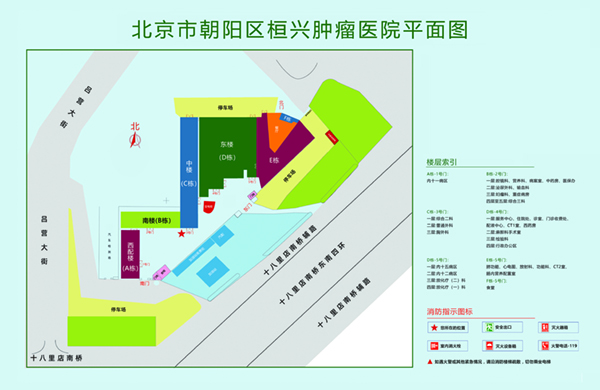 阴茎插入阴道的视频在线观看北京市朝阳区桓兴肿瘤医院平面图